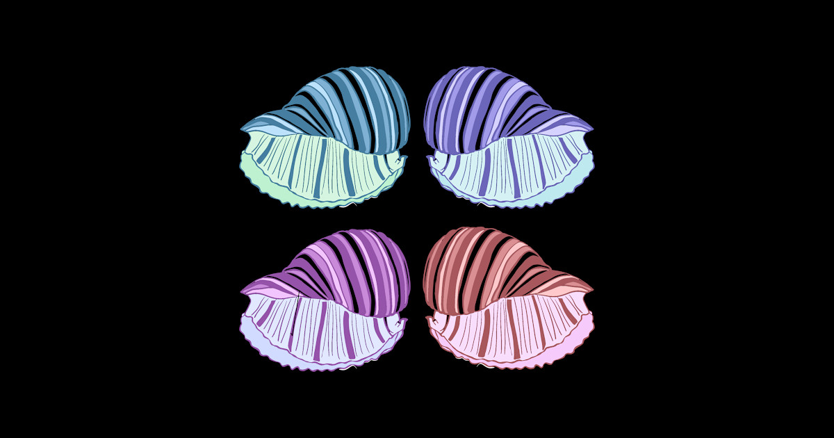 Colorful Shells - Shells - Sticker | TeePublic