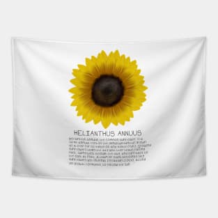 Yellow Sunflower Genus and Description Print Tapestry