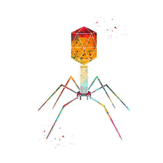 Bacteriophage by erzebeth