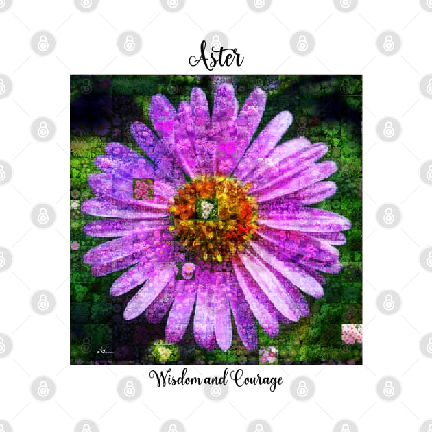 Aster Birth Month Flower September by Symbolsandsigns