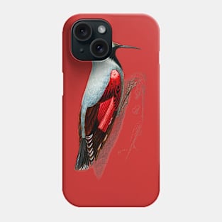 Vintage wood nuthatch bird-animalia Phone Case