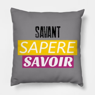 Savant Sapere Savoir Pillow