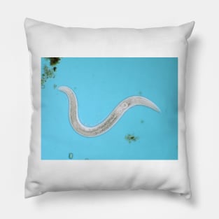 Microscopic free-living nematode worm from garden soil Pillow