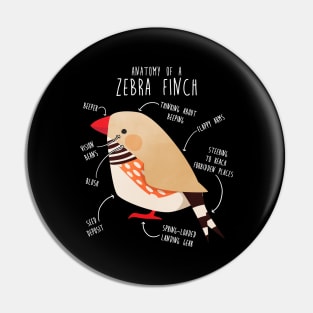 Fawn Zebra Finch Anatomy Pin