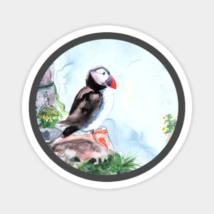 Atlantic Puffin sitting on the rocks Magnet