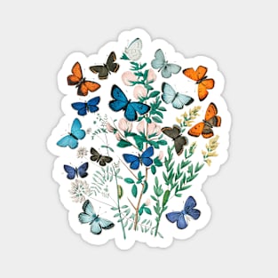 Plants and butterflies Magnet