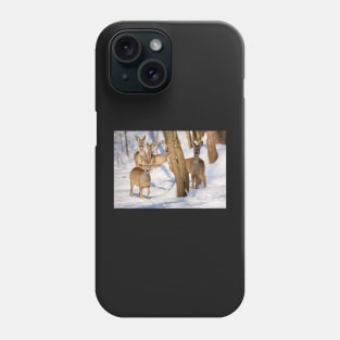 Roe deer in the forest Phone Case