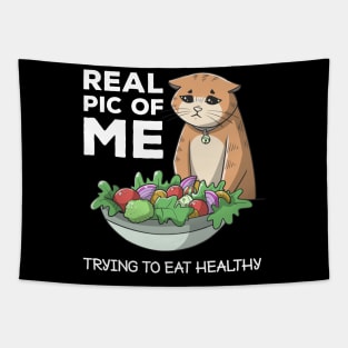 Funny Diet Cat Weightloss Fasting Gym Workout Fitness Health Tapestry