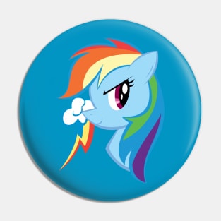 Pony Head: Rainbow Dash Pin