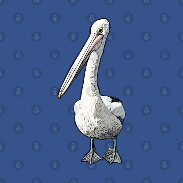 IT'S A PELICANS LIFE - CARTOON PELICAN BIRD FROM A PHOTOGRAPH by iskybibblle