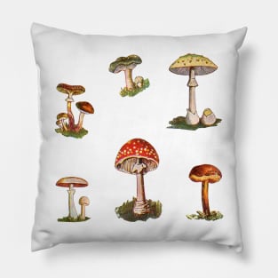 Rome Mushrooms Pillow
