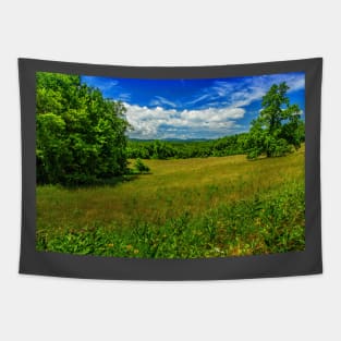 Virginia Summer Meadow Tapestry