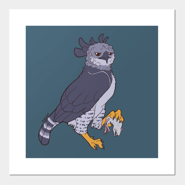 Harpy Eagle - Harpy - Posters and Art Prints | TeePublic Harpy Eagle - Harpy - Posters and Art Prints | TeePublic