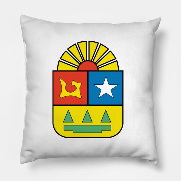 Quintana Roo Flag Pillow by Wickedcartoons