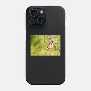 Brilliantly Colored Monarch Butterfly Phone Case