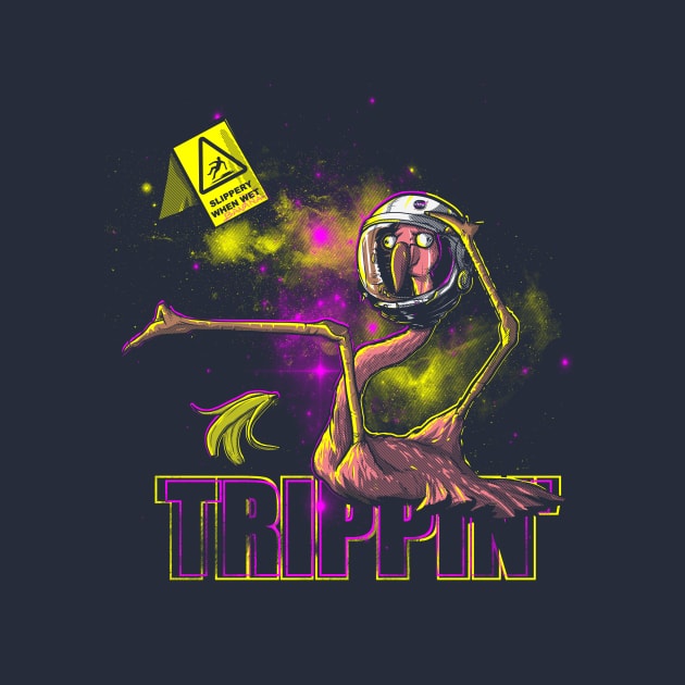 Space Tripping by LivMat