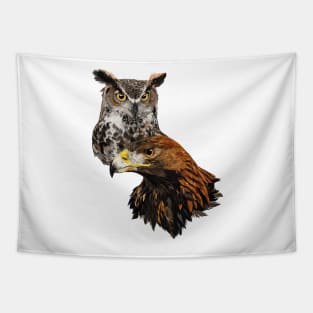 American Owl and American Owl Tapestry