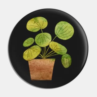 Pilea Plant in a Pot Illustration Pin