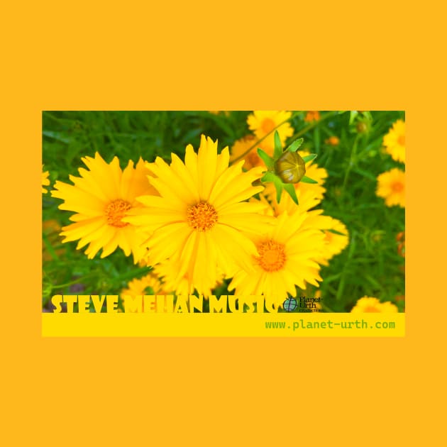 Coreopsis Flower Power by SteveMehanMusic