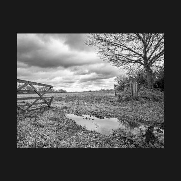 Wooden gate showing the entrance to an arable field in the English countryside by yackers1