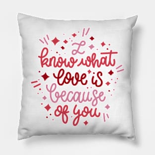 I Know What Love Is Because Of You Pillow