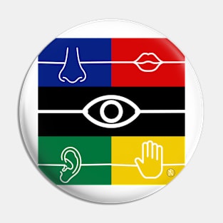 The five senses Pin