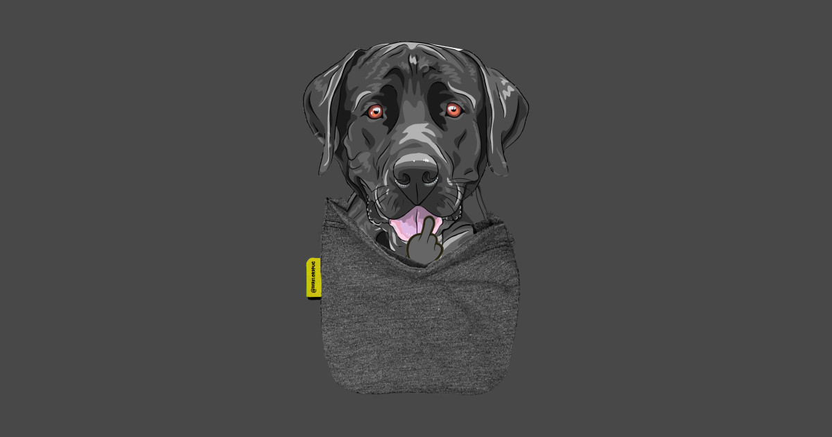 labrador retriever fu pocket labrador retriever t labrador retriever size and weight chart