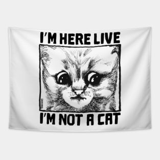 cat, lawyer cat, cat lawyer, cute, kitty, kitten Tapestry