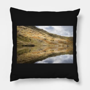 Codale Reflections Pillow