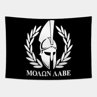 Mod.4 Molon Labe Greek Spartan Tapestry