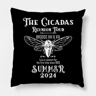 Cicada Shirt 2024 Cicada Emergence Pillow