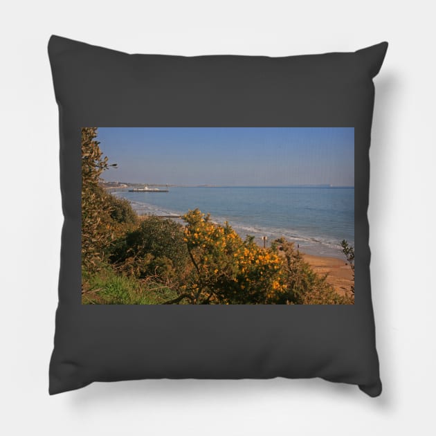 Bournemouth Pier from Alum Chine, February 2021 Pillow by RedHillDigital