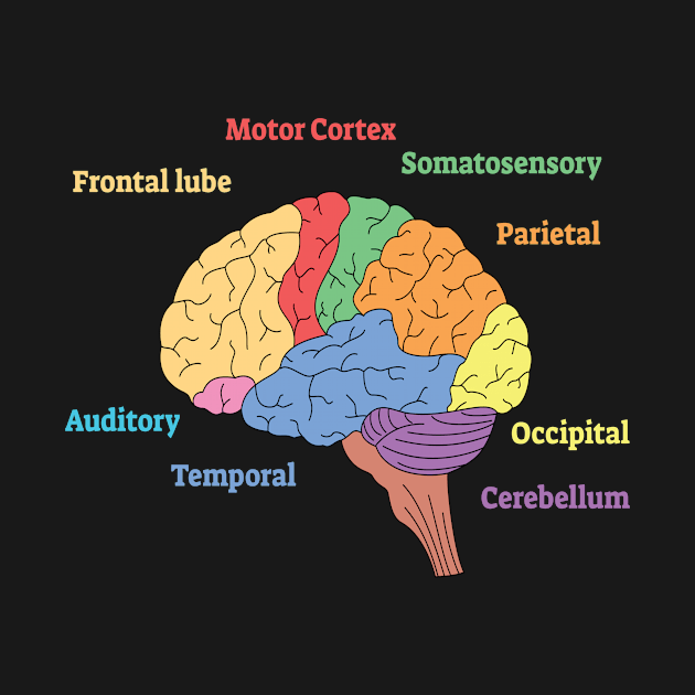 Brain Diagram Neurology Science by MooonTees