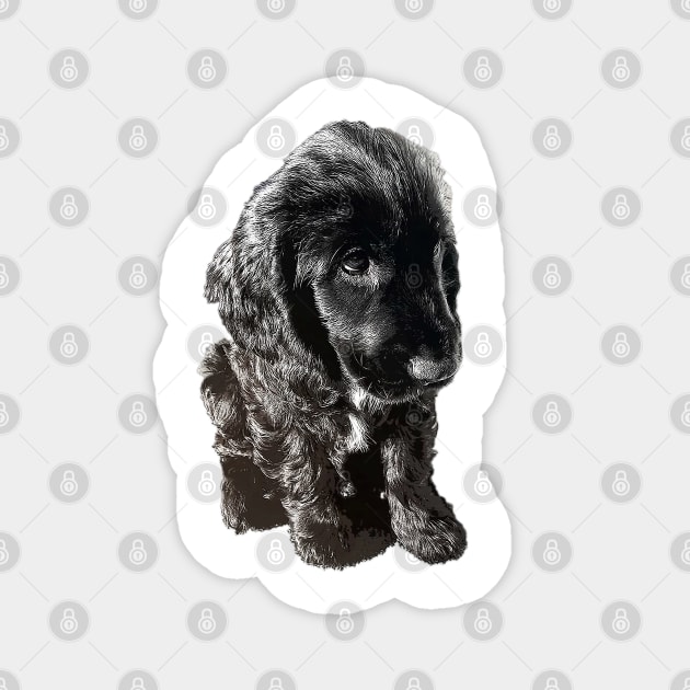 English Cocker Spaniel Black Puppy Dog - Adorable! Magnet by ElegantCat