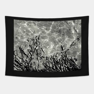 Seaweed Abstract Tapestry