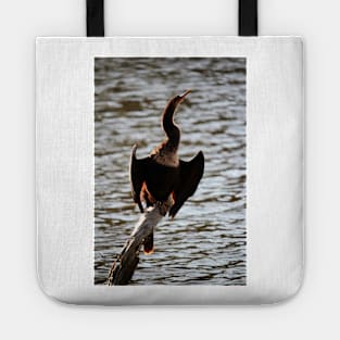 Cormorant In The Sunlight Tote