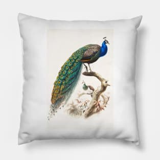 Peafowl Art Print Danial Giraud Elliot 1872 Family Of The Pheasants Pillow