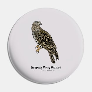 European honey buzzard Pin