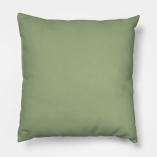 Sage Green Pillow