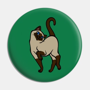 Begging for Pettings--Siamese Style! Pin