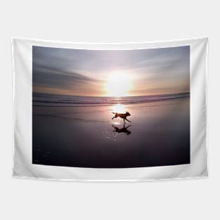 Dog Chasing Sunset in California Tapestry