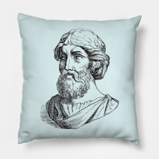 Male Model Pythagoras Pillow