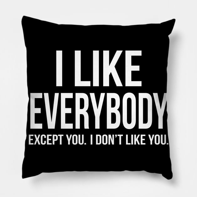 I Like Everybody Except You I Don't Like You Pillow by Eyes4