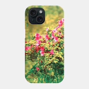 Azalea blooming Phone Case