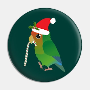 A cute Christmas peach faced lovebird Pin