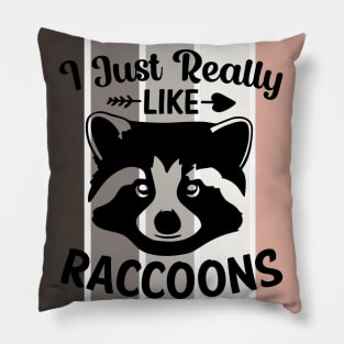 I just really like Raccoons, ok? Pillow