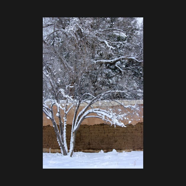 Solitude ~ Pinos Altos, NM by VKPelham