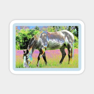 Pretty Horse Magnet