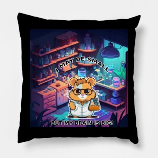 Discover The Wonders Of Science Pillow