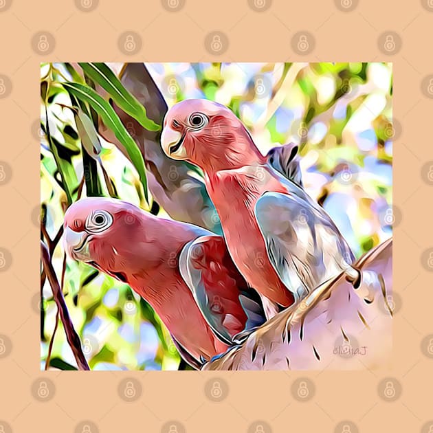 2 Galahs by ellenaJ